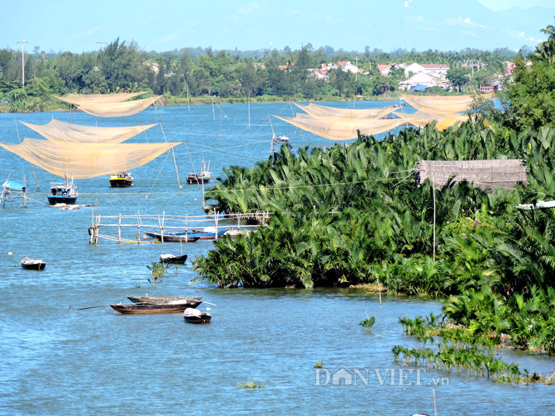 Vẻ đẹp yên bình của Làng Cẩm Thanh