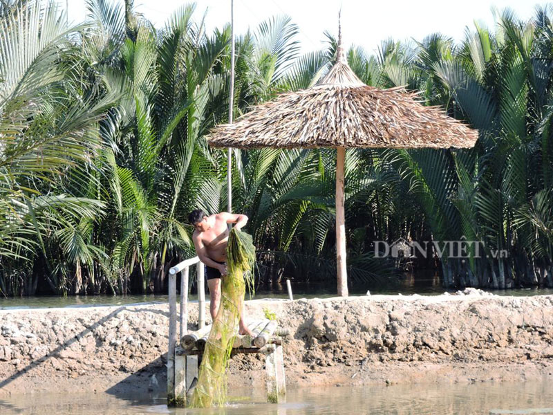 Vẻ đẹp yên bình của Làng Cẩm Thanh