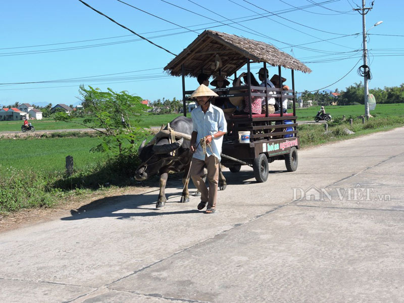 Vẻ đẹp yên bình của Làng Cẩm Thanh